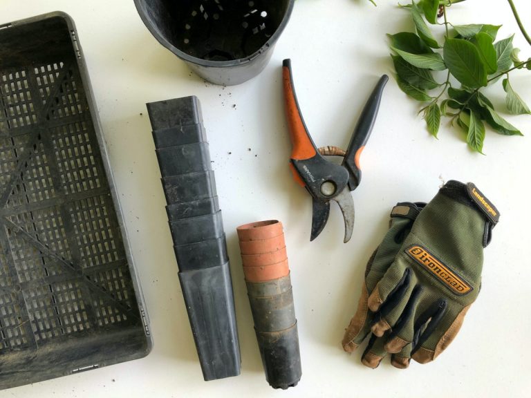 Las tres mejores herramientas de jardinería para un fácil mantenimiento