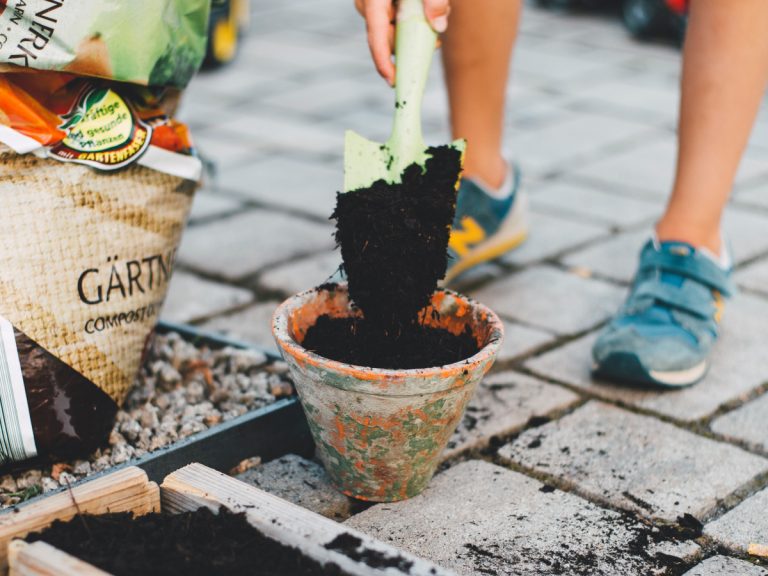 Las mejores ideas para plantar en tu huerto urbano
